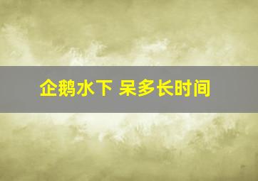 企鹅水下 呆多长时间